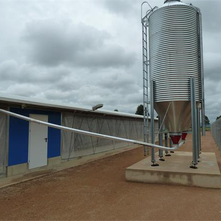 Estrutura de aço pré -fabricada Casa de fazenda para frango