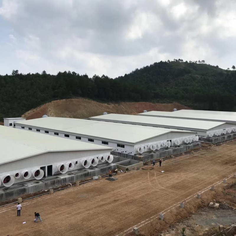 Casa de fazenda prática e bonita de gado na China