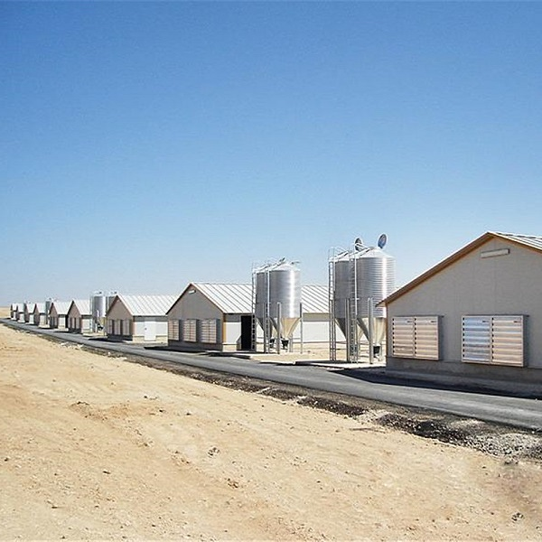 Estrutura de aço pré -fabricada Casa de fazenda para frango